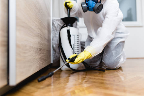 Best Commercial Pest Control Services  in Start, LA