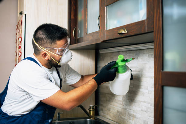 Best Cockroach Control Services  in Start, LA