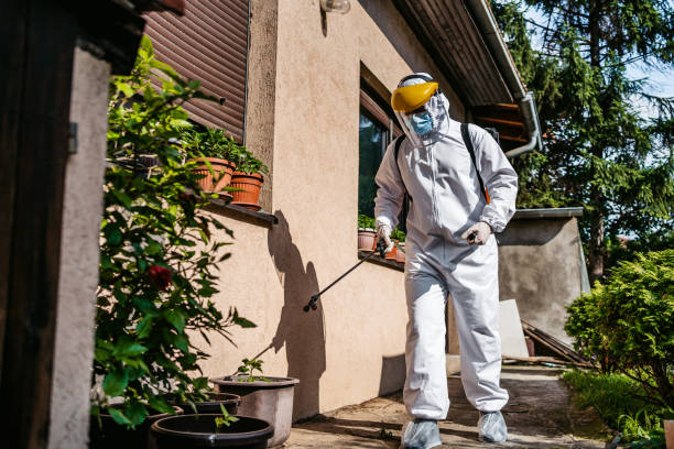 Pest Prevention Services in Start, LA