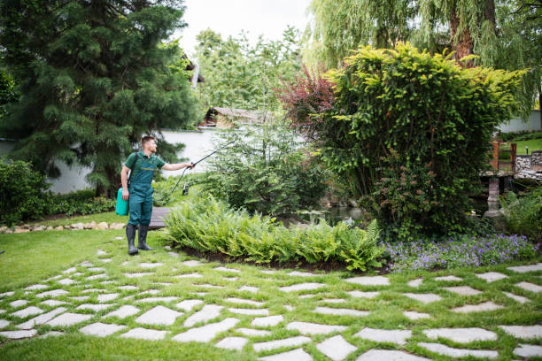 Best Residential Pest Control  in Start, LA