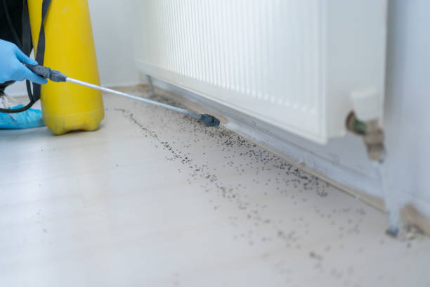 Best Bed Bug Extermination  in Start, LA